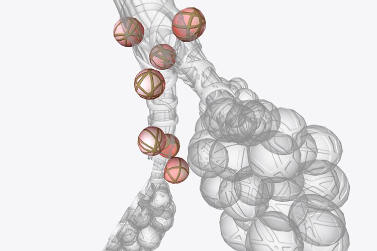 پرهیز از مصرف کلسیم همراه سایر کاتیون‌های چندظرفیتی مانند آهن نکته‌ای مهم است.